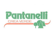 Pantanelli